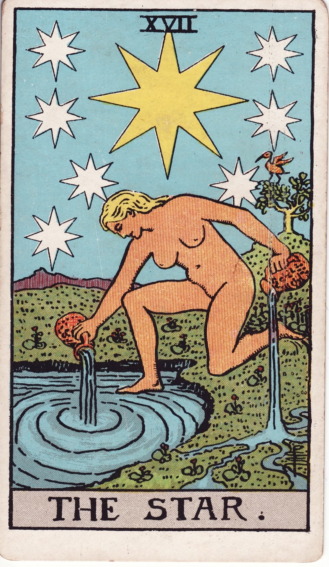 星（The Star）